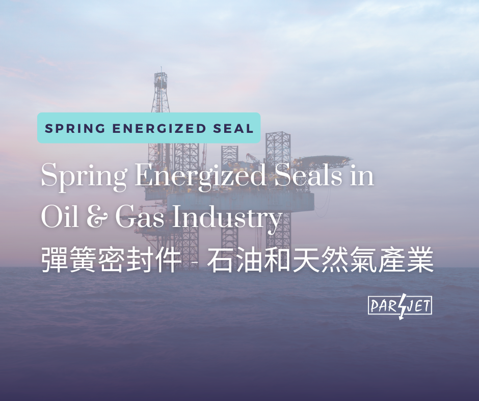 Spring Energized Seals in Oil & Gas Industry 