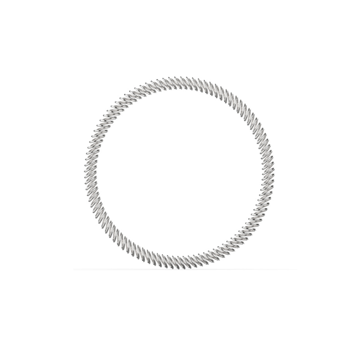 Canted Coil Spring