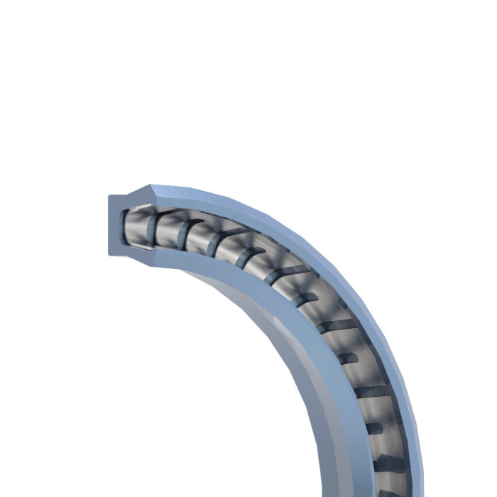 HiPerSeal® - Spring Energized Seal 